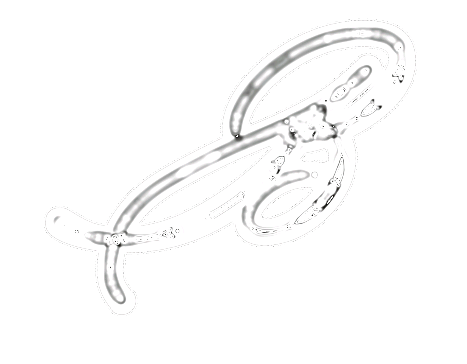 Portfolio Image 5